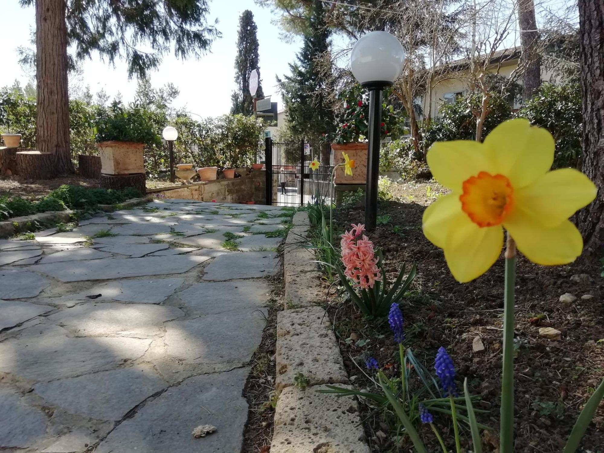 B&B Querceto Sesto Fiorentino Bagian luar foto